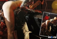 Tags: fans, loves, wtf (Pict. in My r/WTF favs)