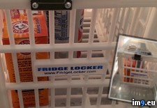 Tags: are, fridge, got, lockers, now, office, shit, wtf (Pict. in My r/WTF favs)