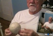 Tags: ago, ball, big, cuts, grandpa, hair, months, rolling, wtf (Pict. in My r/WTF favs)