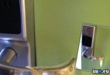 Tags: door, left, morning, wtf (Pict. in My r/WTF favs)