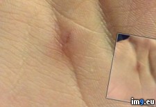 Tags: stabbed, wtf (Pict. in My r/WTF favs)