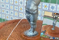 Tags: boy, fountain, frog, privates, spitting, statue, wtf (Pict. in My r/WTF favs)