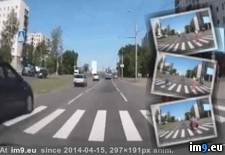 Tags: helping, stop, wtf (GIF in My r/WTF favs)