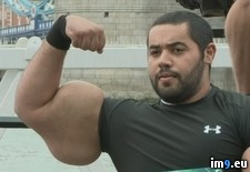 Tags: ego, synthol, wtf (Pict. in My r/WTF favs)