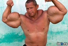 Tags: ego, synthol, wtf (Pict. in My r/WTF favs)