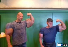 Tags: gainz, synthol, wtf (Pict. in My r/WTF favs)