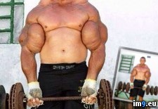 Tags: synthol, wtf (Pict. in My r/WTF favs)