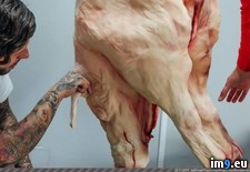 Tags: bakers, cake, created, pig, slaughtered, tattooed, wtf (Pict. in My r/WTF favs)