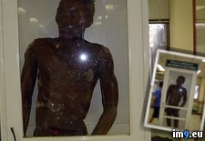 Tags: box, child, executed, feared, glass, publicly, rapist, thailand, was, wtf (Pict. in My r/WTF favs)