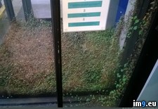 Tags: door, office, wtf (Pict. in My r/WTF favs)