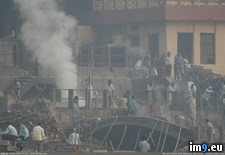 Tags: beauty, india, nsfl, wtf (Pict. in My r/WTF favs)