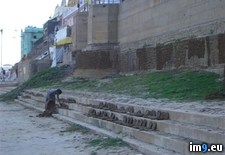 Tags: beauty, india, nsfl, wtf (Pict. in My r/WTF favs)