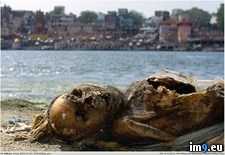 Tags: beauty, india, nsfl, wtf (Pict. in My r/WTF favs)