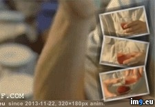 Tags: blood, effect, gifs, poison, rattlesnake, wtf (GIF in My r/WTF favs)