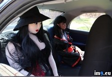Tags: descent, harem, madness, wtf (Pict. in My r/WTF favs)