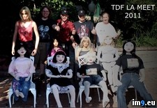 Tags: descent, harem, madness, wtf (Pict. in My r/WTF favs)