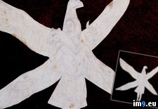 Tags: box, crazy, wtf (Pict. in My r/WTF favs)
