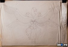 Tags: box, crazy, wtf (Pict. in My r/WTF favs)