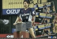 Tags: baseball, entertainment, games, japanese, real, wtf (GIF in My r/WTF favs)