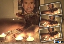 Tags: ritual, thanksgiving, wtf (GIF in My r/WTF favs)