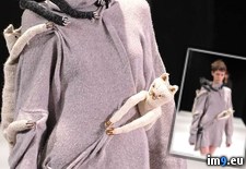 Tags: cat, lady, sweater, ultimate, wtf (Pict. in My r/WTF favs)