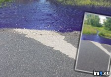 Tags: explosion, liquid, mysterious, poured, purple, road, streets, work, wtf (Pict. in My r/WTF favs)