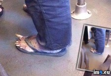 Tags: hygienic, wtf (Pict. in My r/WTF favs)