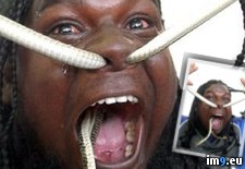 Tags: guy, wtf (Pict. in My r/WTF favs)