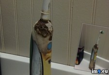 Tags: sister, toothbrush, wtf (Pict. in My r/WTF favs)