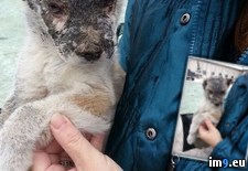Tags: aarcs, burnt, city, cold, face, find, him, nero, rescued, wtf (Pict. in My r/WTF favs)