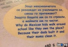 Tags: bulgaria, english, mexican, printed, restaurant, wtf (Pict. in My r/WTF favs)