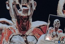 Tags: all, cut, face, thought, wtf (Pict. in My r/WTF favs)