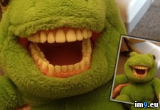 Tags: dentists, kids, office, play, wtf (Pict. in My r/WTF favs)