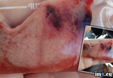 Tags: fell, friends, vagina, wtf (Pict. in My r/WTF favs)