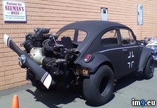 Tags: bug, propeller, run, wtf (Pict. in My r/WTF favs)