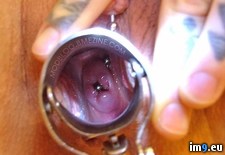 Tags: cervix, pierced, til, wtf (Pict. in My r/WTF favs)