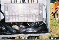 Tags: find, line, time, work, wtf (Pict. in My r/WTF favs)