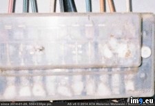 Tags: find, line, time, work, wtf (Pict. in My r/WTF favs)