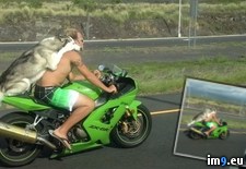 Tags: helmet, ignoring, laws, motorcycle, riders, two, wtf (Pict. in My r/WTF favs)