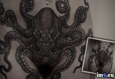 Tags: wtf (Pict. in My r/WTF favs)