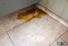 Tags: bathroom, heard, noise, see, terrible, turned, walmart, was, wtf (Pict. in My r/WTF favs)