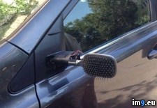 Tags: mirror, wtf (Pict. in My r/WTF favs)
