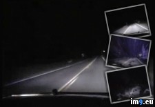 Tags: 90mph, cop, deer, hit, wtf (GIF in My r/WTF favs)