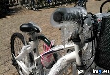 Tags: bike, freezing, rack, sprinklers, temperatures, wtf (Pict. in My r/WTF favs)