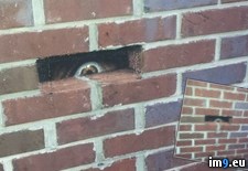 Tags: brick, painted, see, wtf, you (Pict. in My r/WTF favs)
