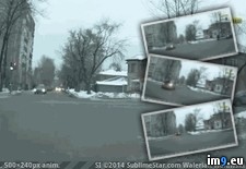 Tags: wtf (GIF in My r/WTF favs)
