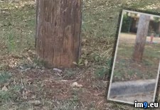 Tags: play, wtf (Pict. in My r/WTF favs)