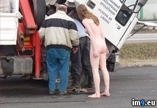 Tags: wtf (Pict. in My r/WTF favs)