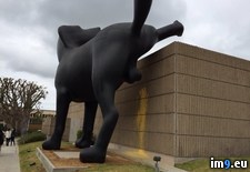 Tags: art, beach, museum, newport, wtf (Pict. in My r/WTF favs)