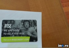 Tags: rocky, wtf (Pict. in My r/WTF favs)